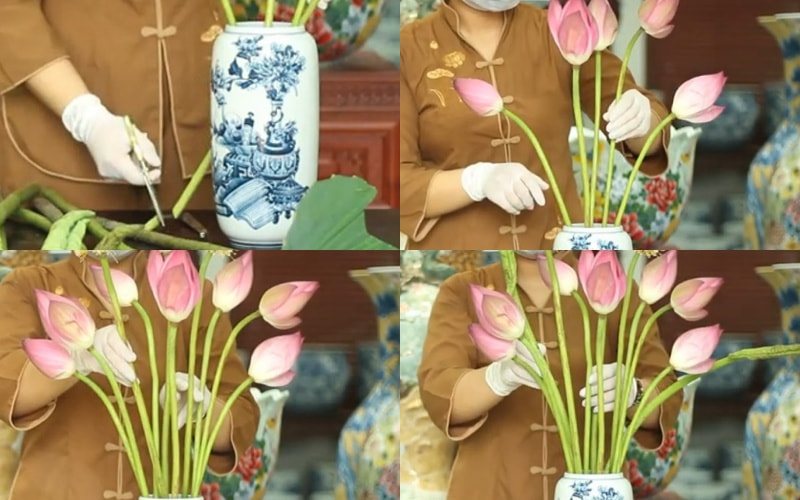 cách cắm sen