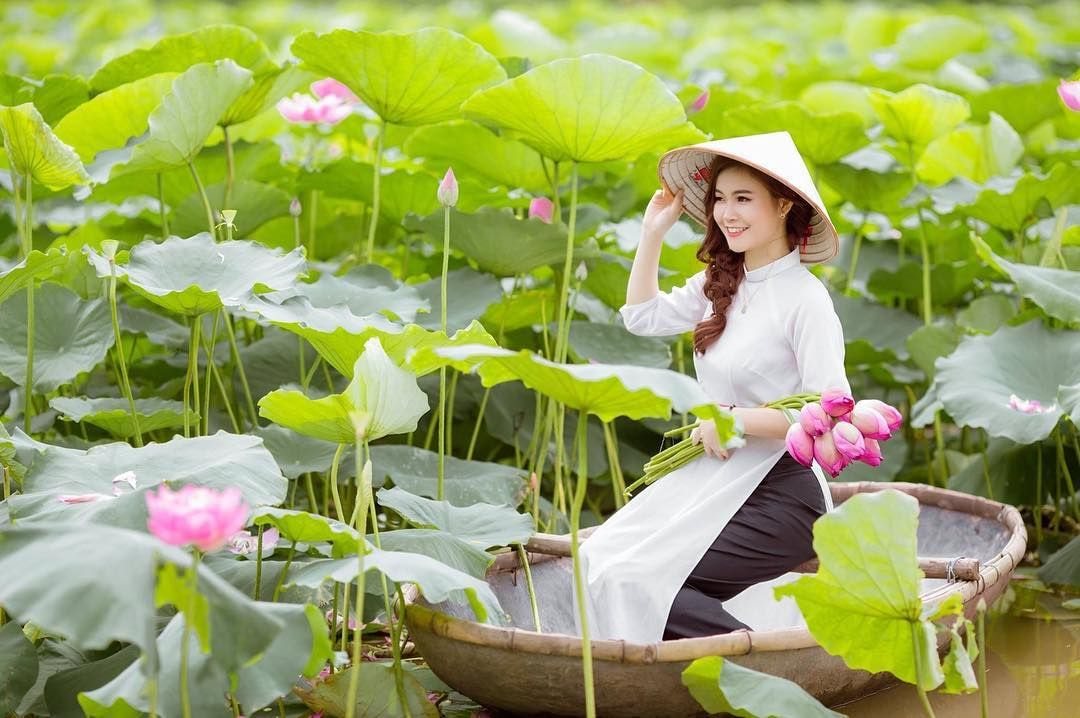 đầm sen Hồ Tây