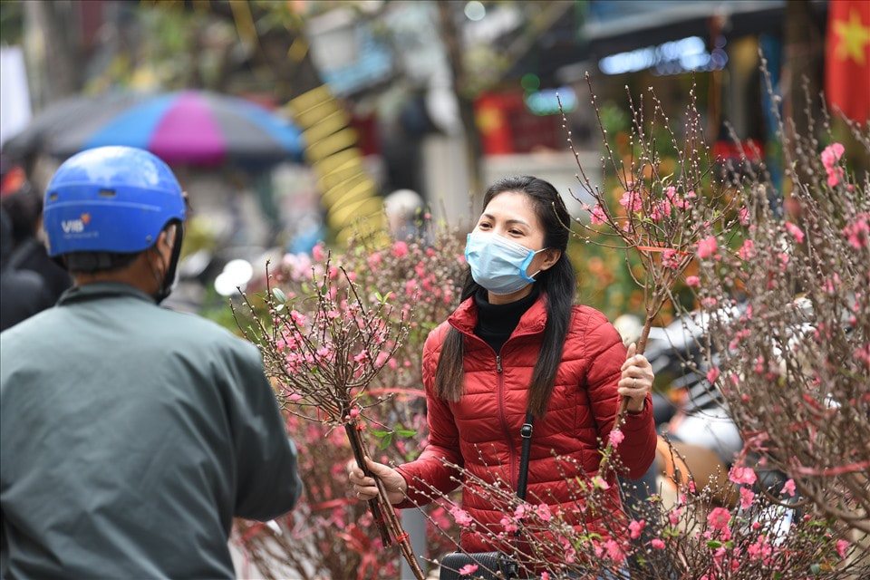 giá hoa đào tết