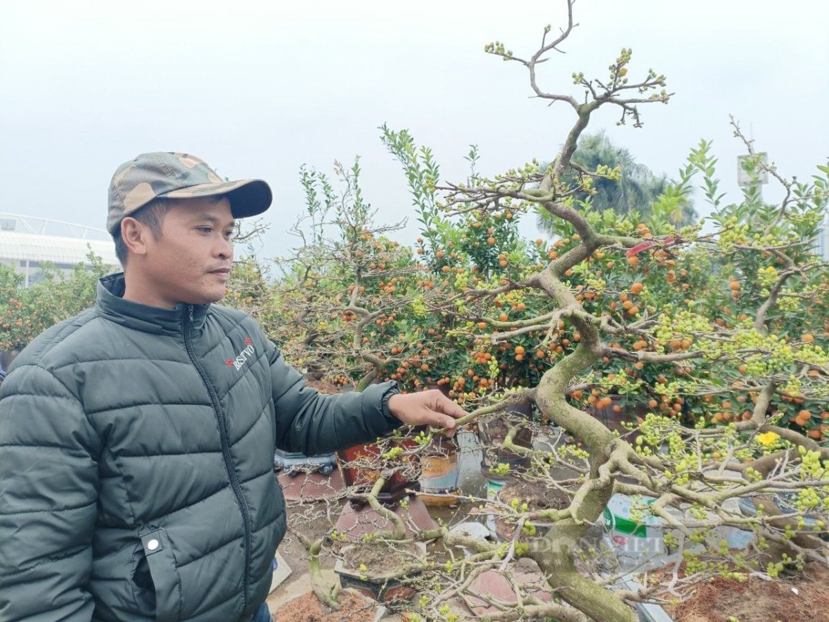 mai sẻ