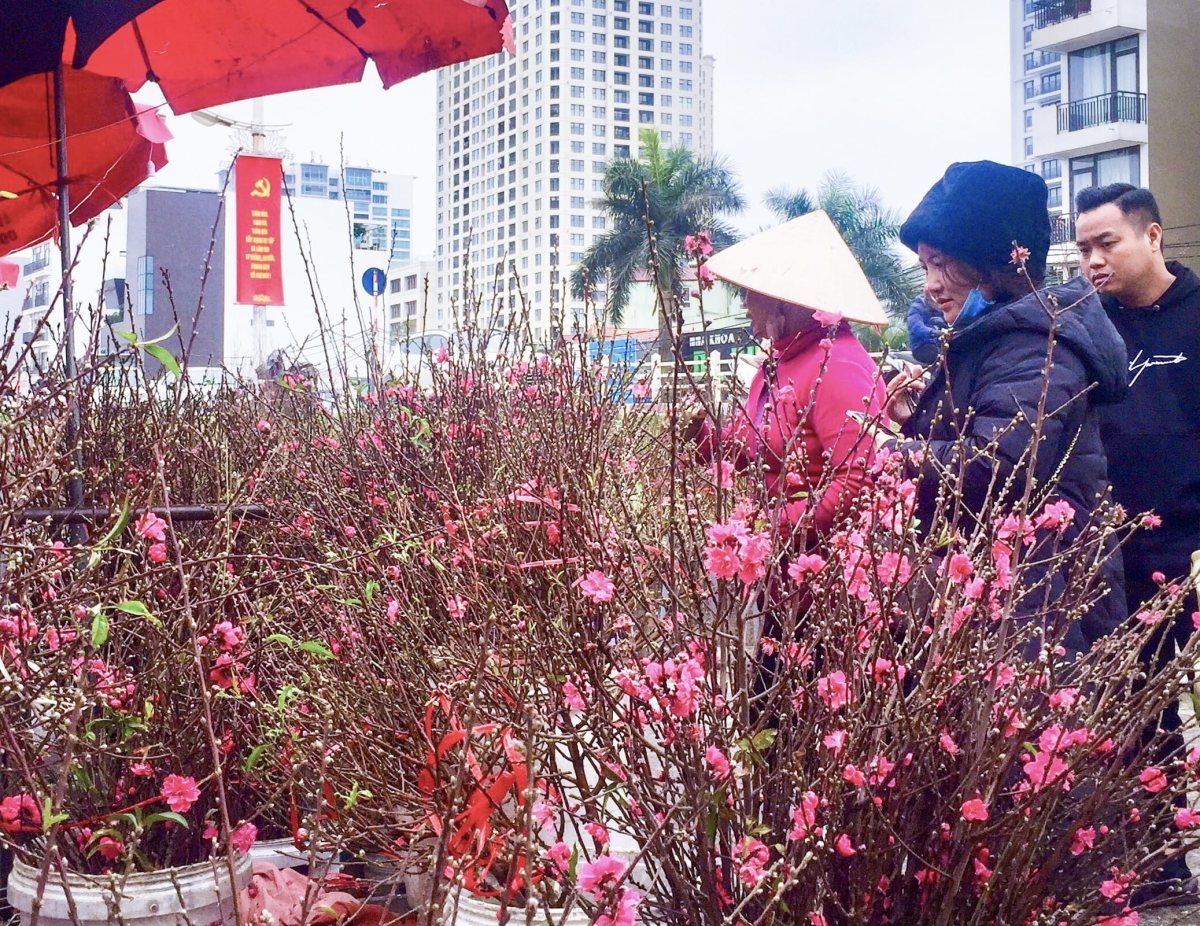 sự tích hoa đào