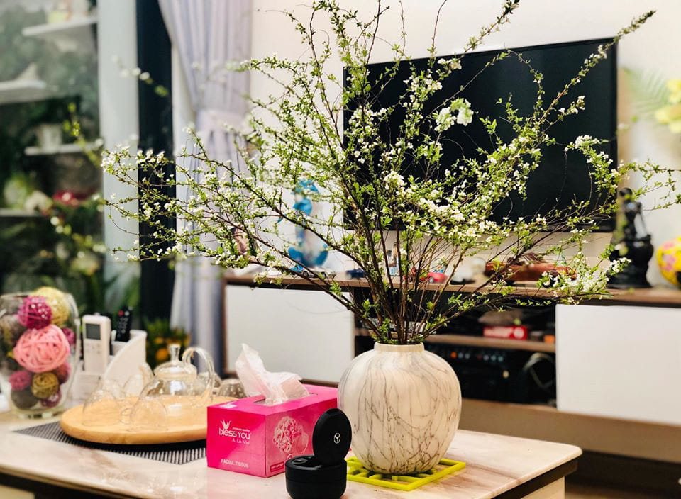 Bình hoa thanh liễu