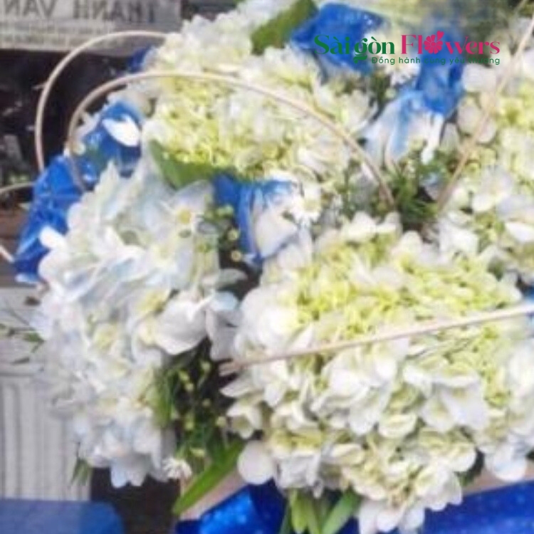 MÂY NGÀN LẠC LỐI
