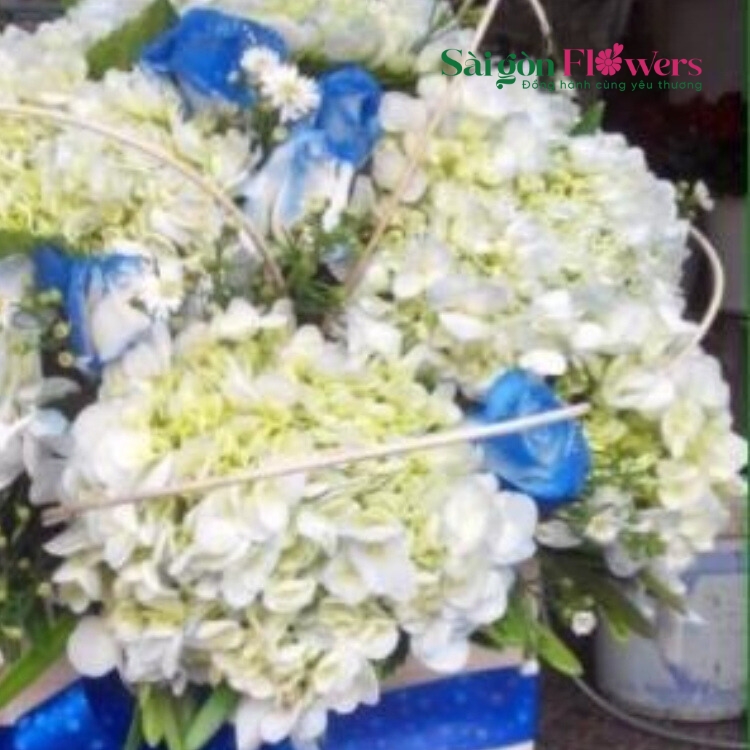 MÂY NGÀN LẠC LỐI