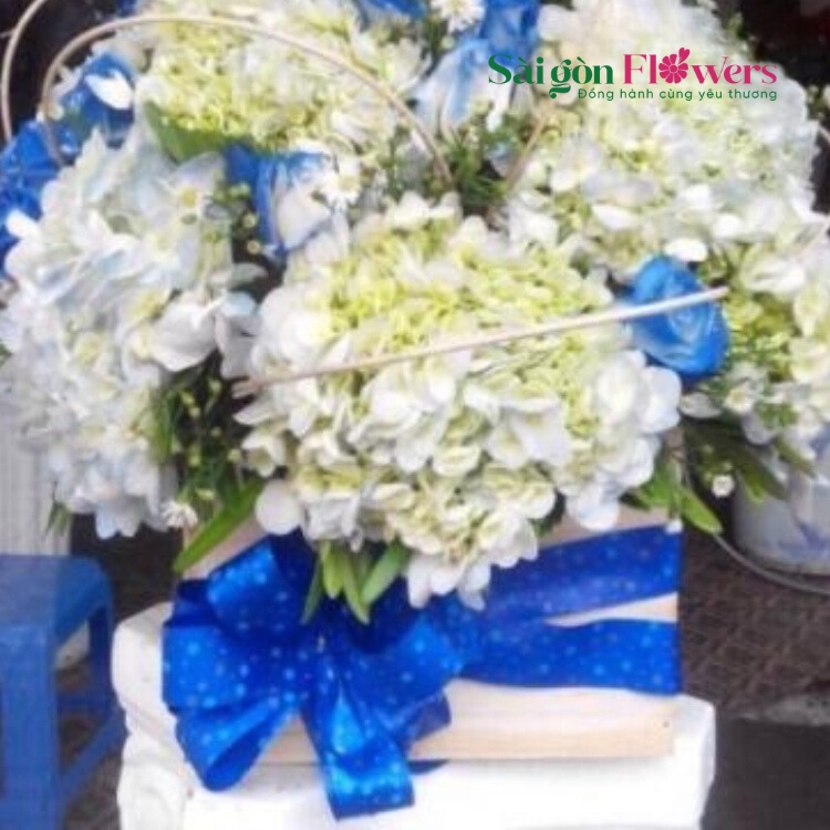MÂY NGÀN LẠC LỐI