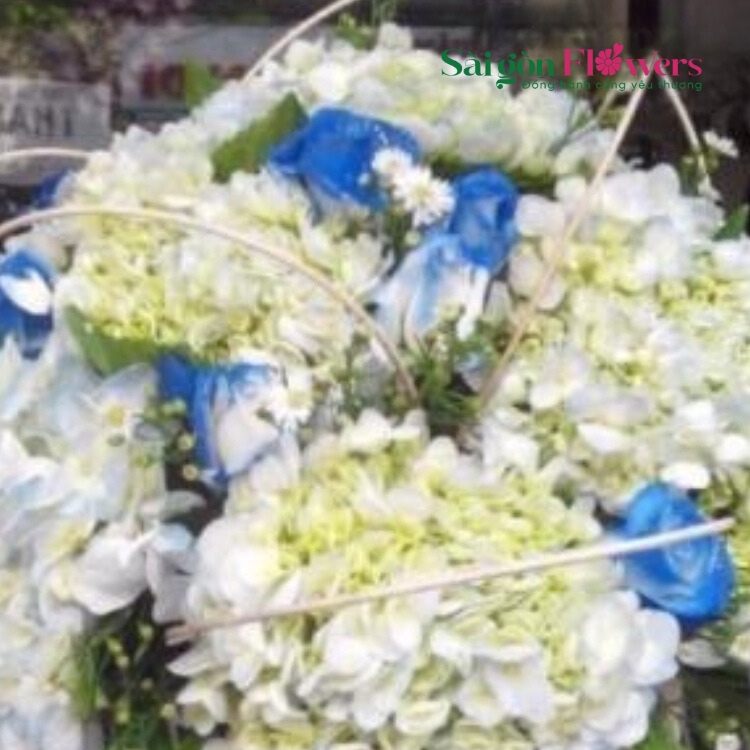 MÂY NGÀN LẠC LỐI