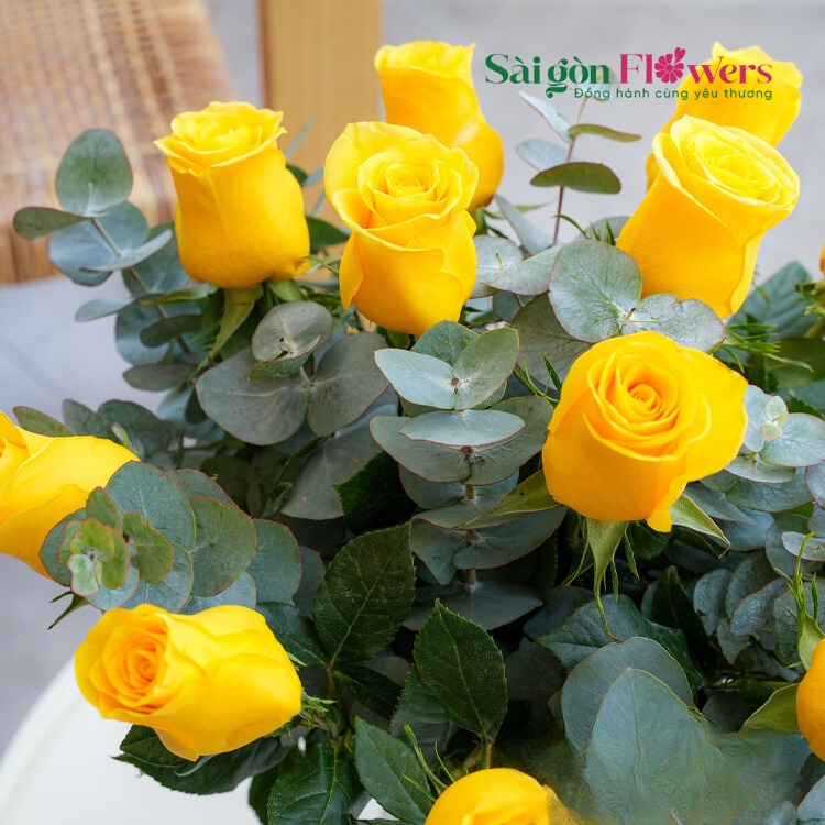 ÁNH NẮNG NGÀY MỚI