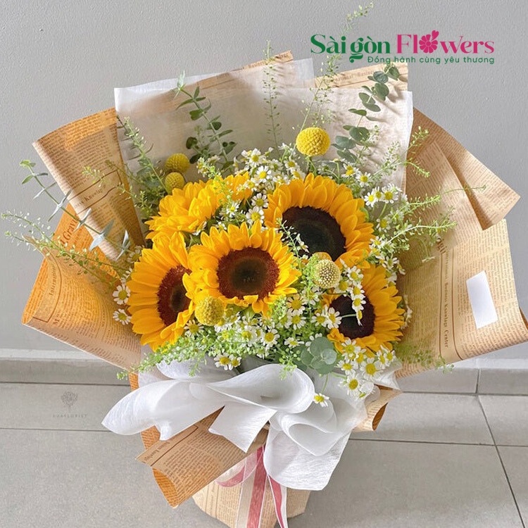 ÁNH NẮNG TRÊN CAO