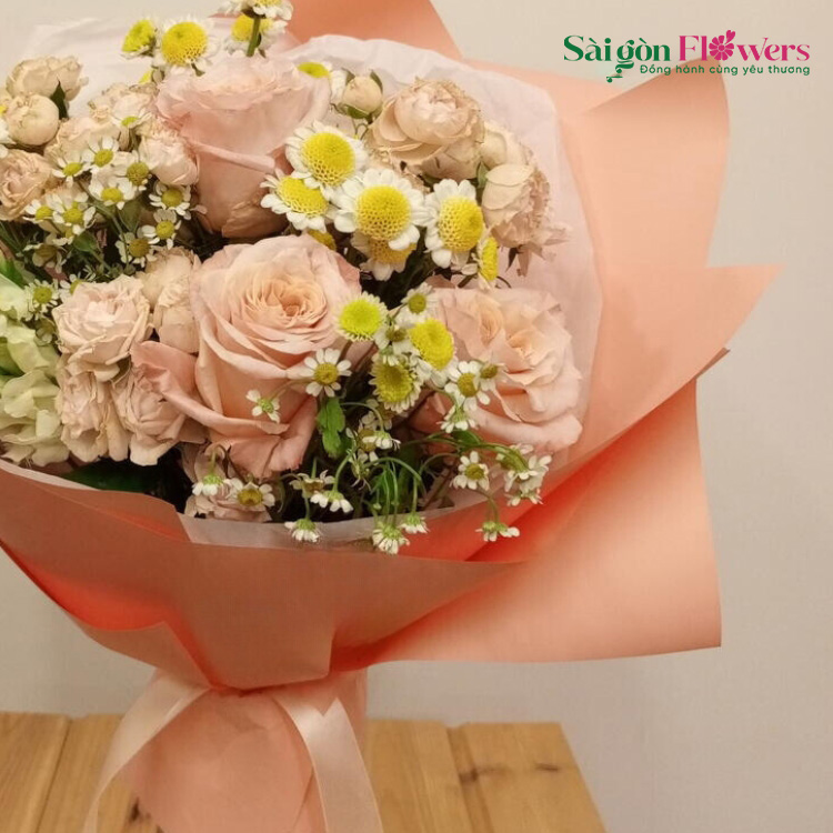 ÁNH SÁNG MẶT TRỜI