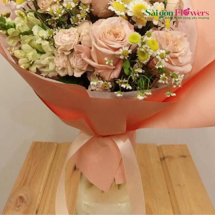 ÁNH SÁNG MẶT TRỜI