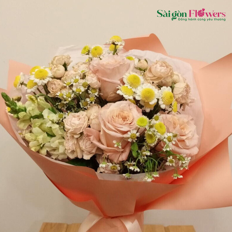 ÁNH SÁNG MẶT TRỜI