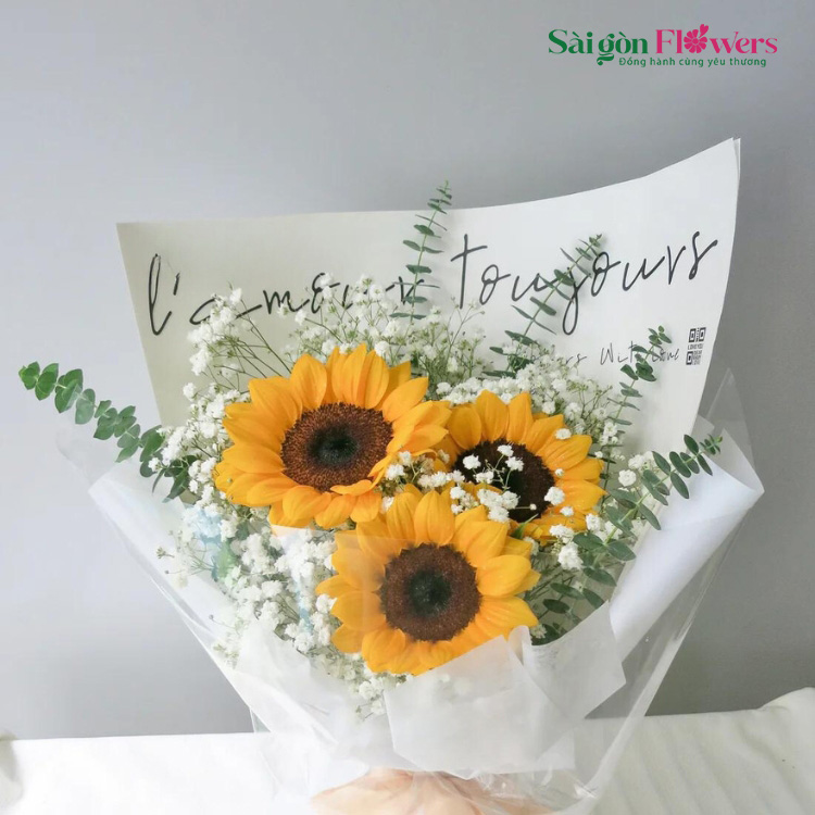 ÁNH SÁNG NƠI CHÂN TRỜI