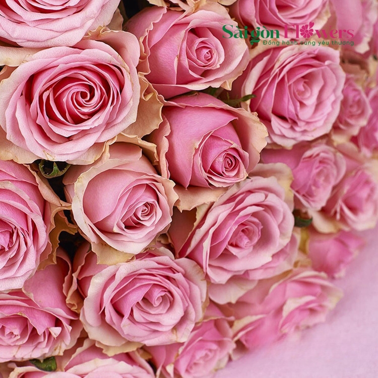 BE IN LOVE