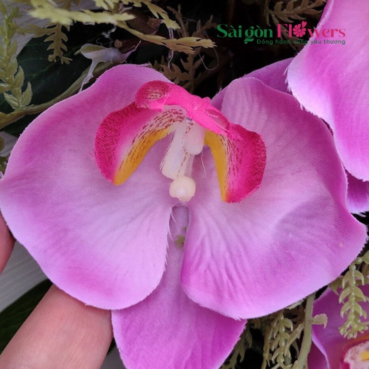 BÍ MẬT SỰ HOÀN HẢO