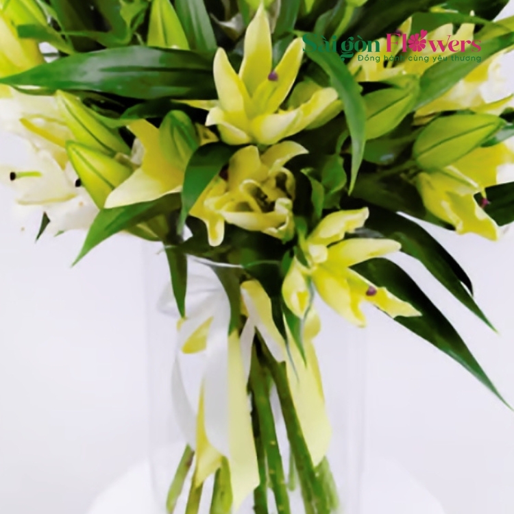 DAWN’S EMBRACE LILIES