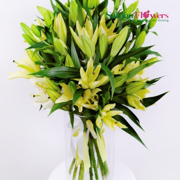 DAWN’S EMBRACE LILIES