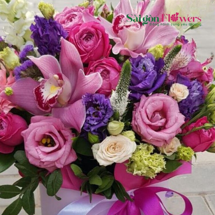 ĐẦY SỨC SỐNG