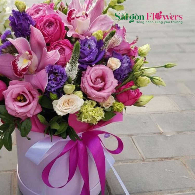 ĐẦY SỨC SỐNG