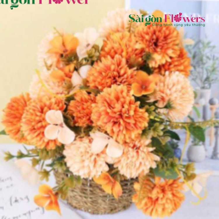 ĐÔI MẮT SÁNG