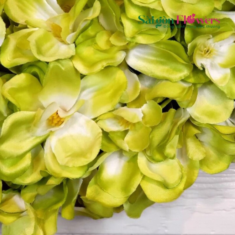 GIẤC MƠ RỪNG XANH