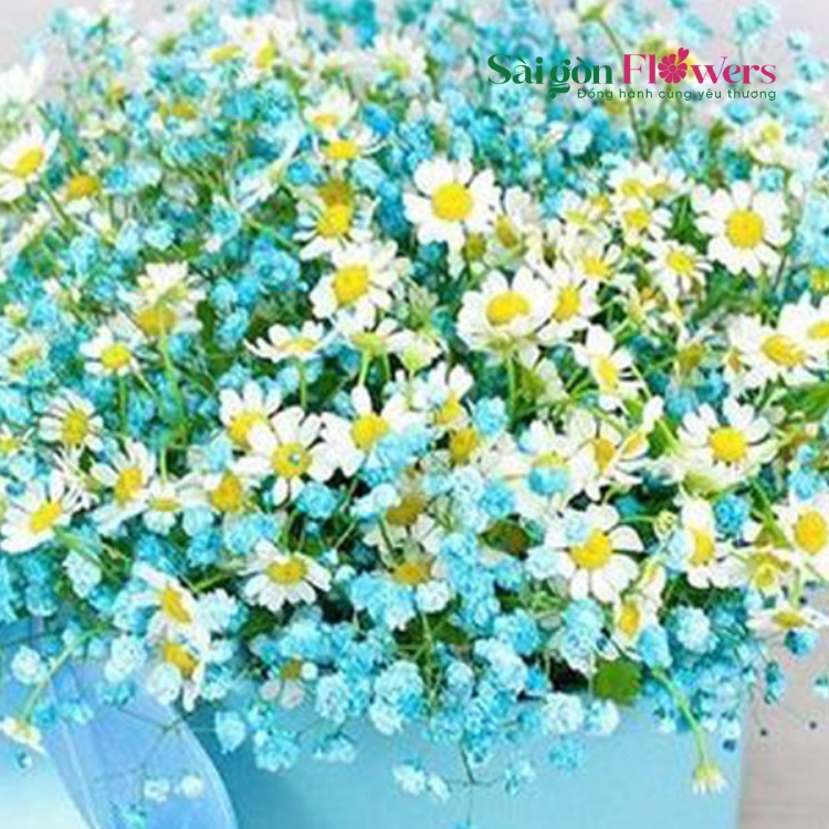 GIẢN ĐƠN BÊN NHAU