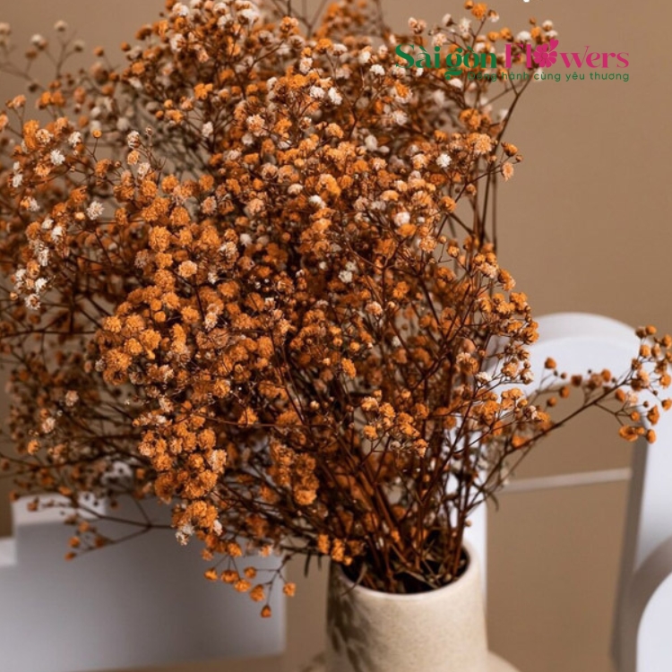HẠNH PHÚC BONG BÓNG
