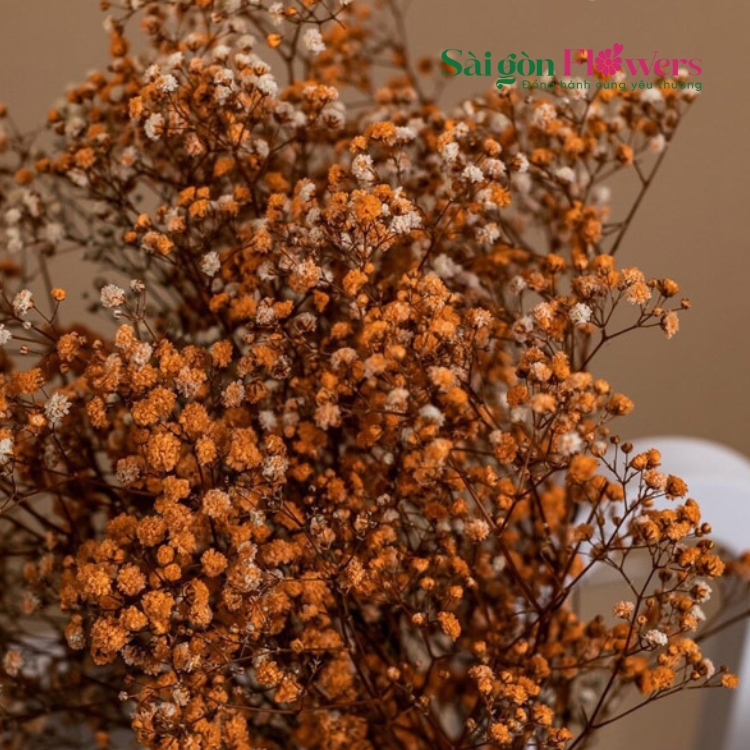 HẠNH PHÚC BONG BÓNG