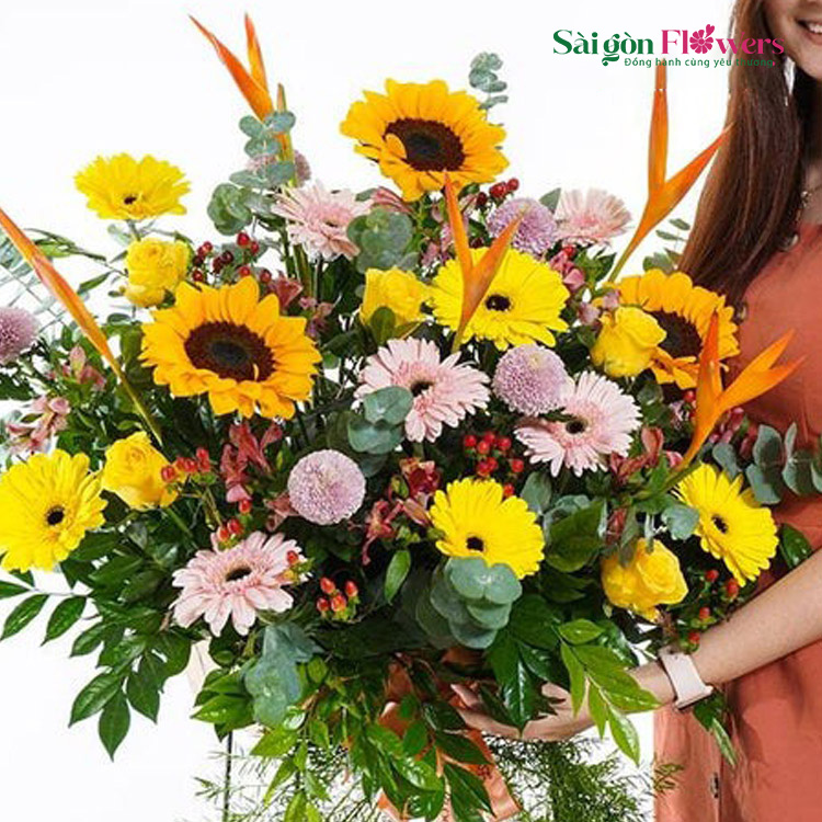HƯỚNG VỀ PHÍA ÁNH DƯƠNG