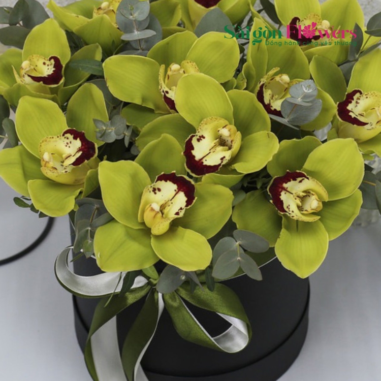 HY VỌNG TUỔI TRẺ