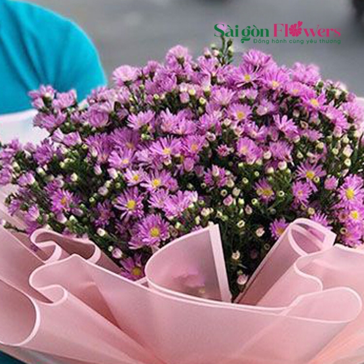 KẾT HỢP HÀI HOÀ