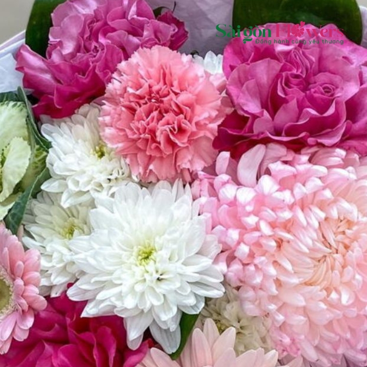 MAY MẮN HẠNH PHÚC