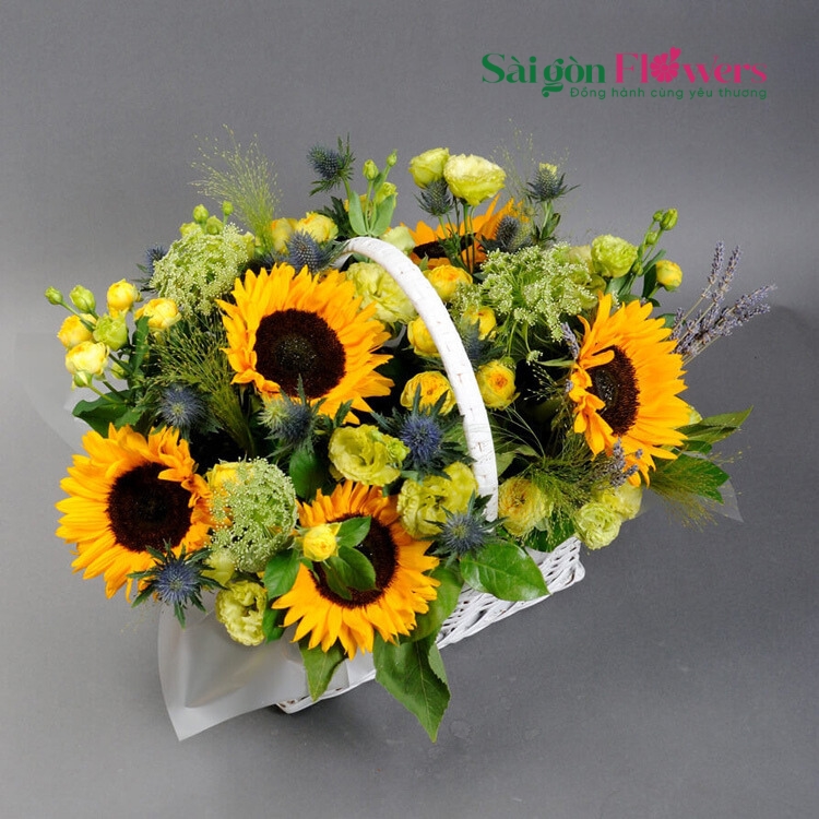 NGÀY MỚI BỪNG SÁNG