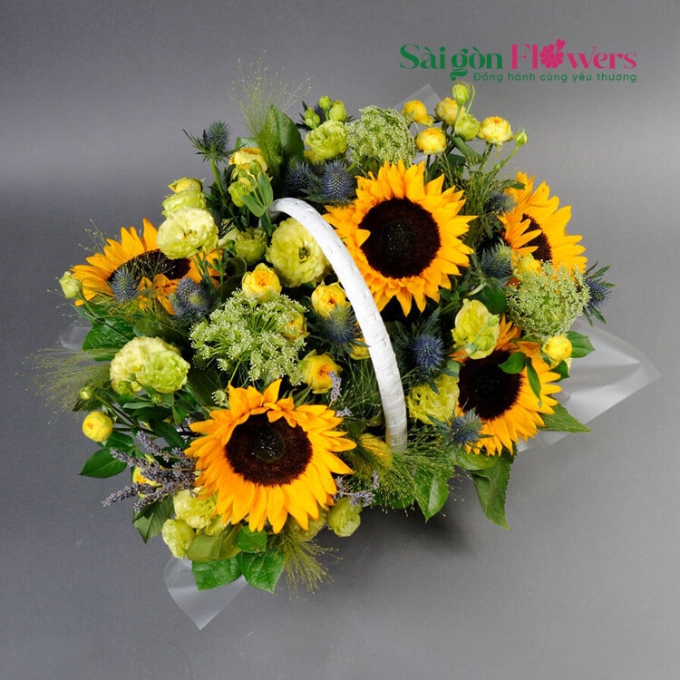 NGÀY MỚI BỪNG SÁNG