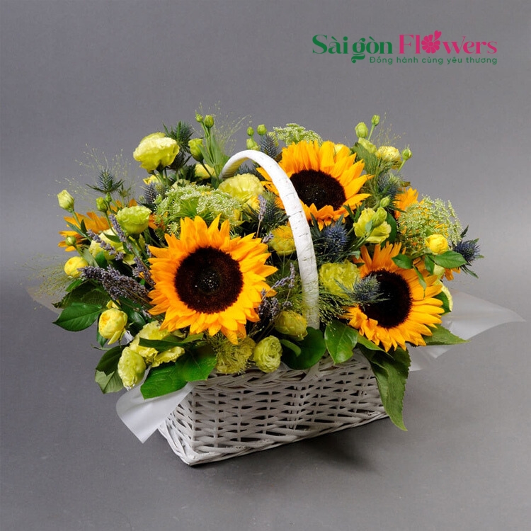 NGÀY MỚI BỪNG SÁNG