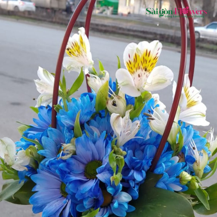 NHỘN NHỊP