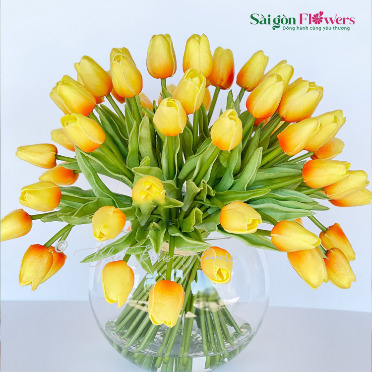 NIỀM TIN VỮNG VÀNG