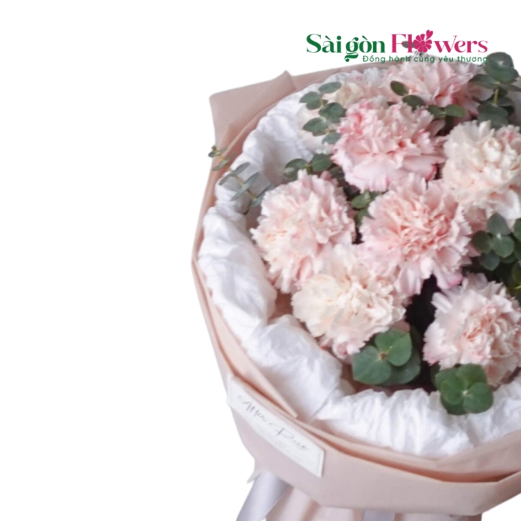 SẮC SON
