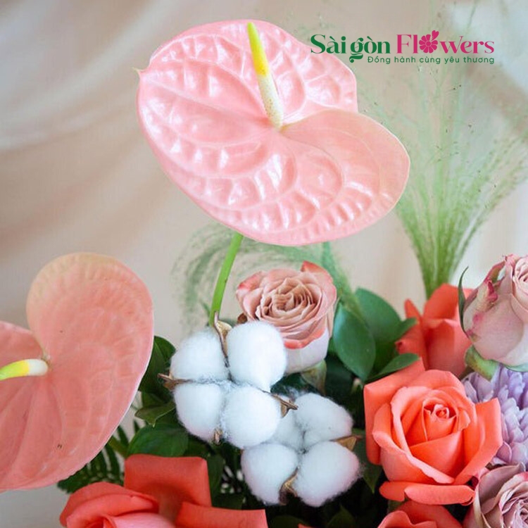 SỨC SỐNG