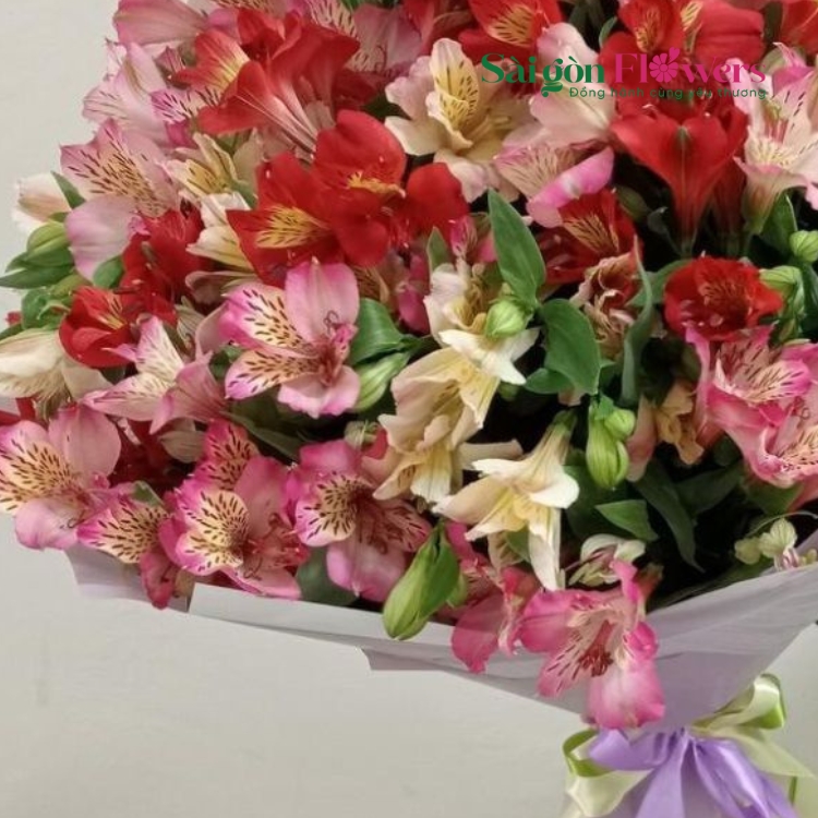 THẤU HIỂU