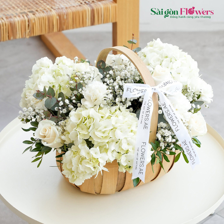 TÌNH ĐẦU NGÂY NGÔ