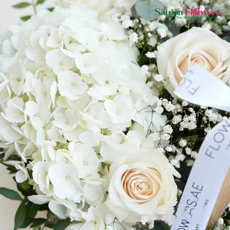 TÌNH ĐẦU NGÂY NGÔ