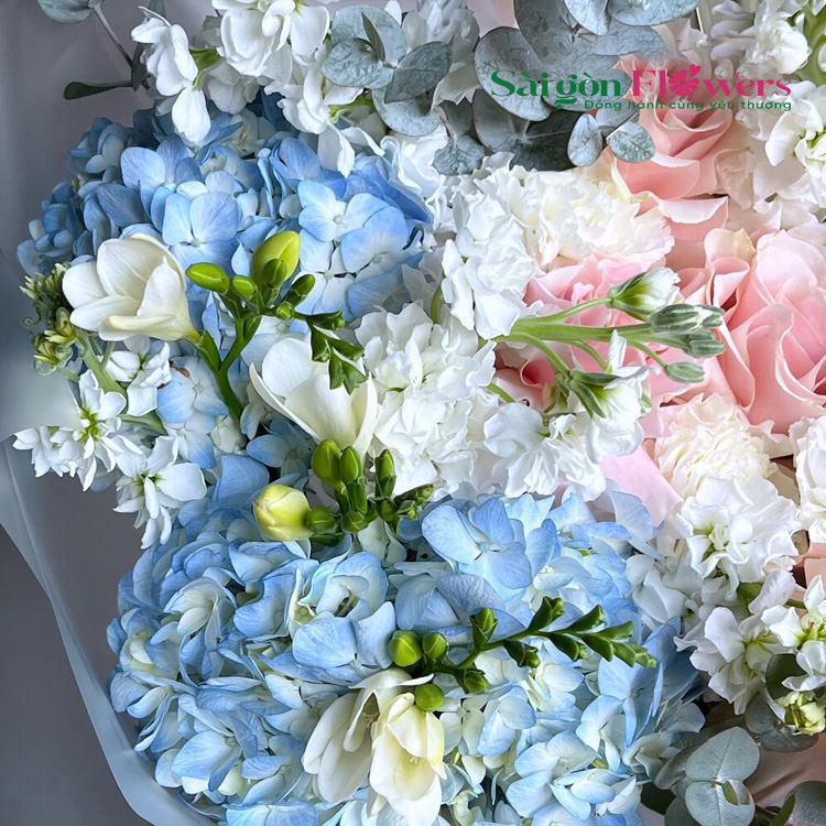 TUỔI HỒNG TỰ TIN