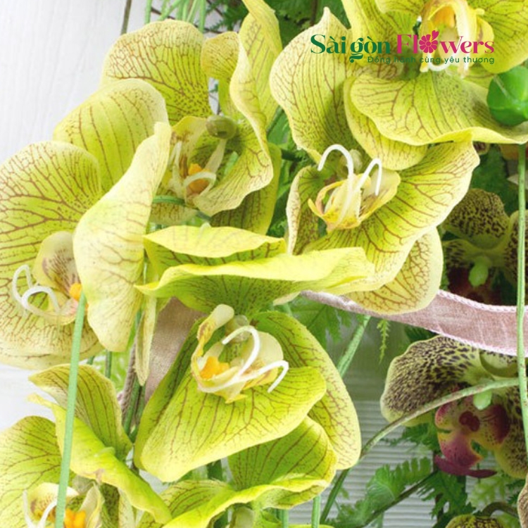 TUỔI TRẺ XANH