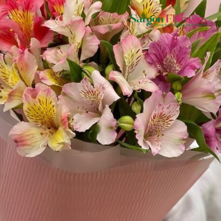 CHIA SẺ NGỌT BÙI