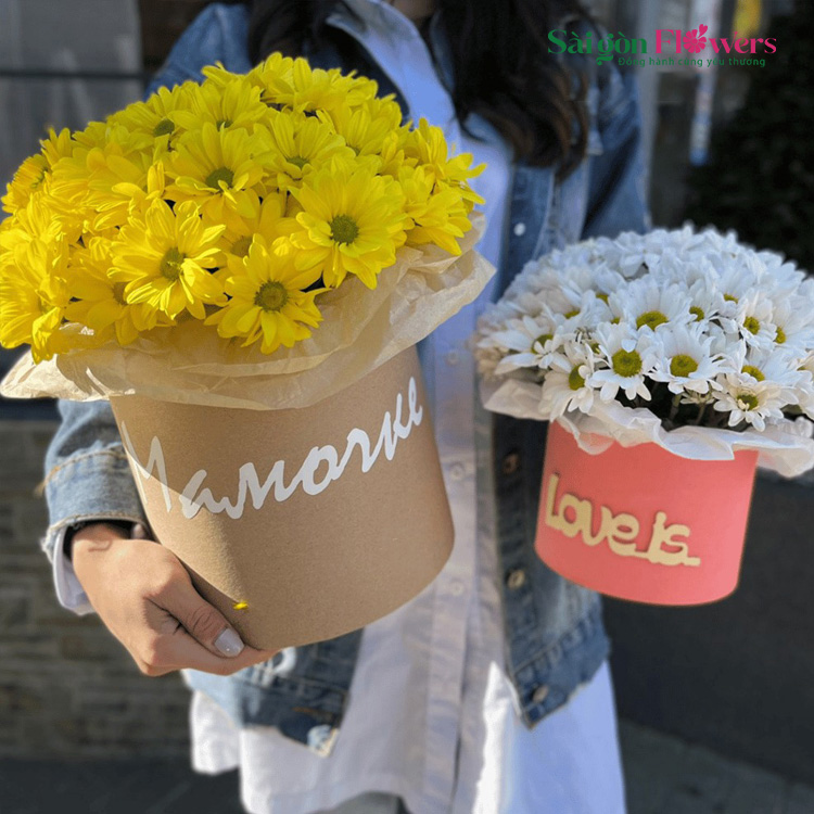 BẢO BỐI NHỎ