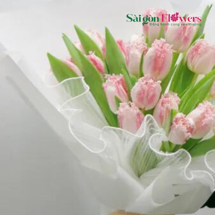 BÀY TỎ TÌNH YÊU
