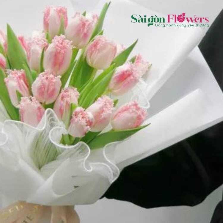 BÀY TỎ TÌNH YÊU