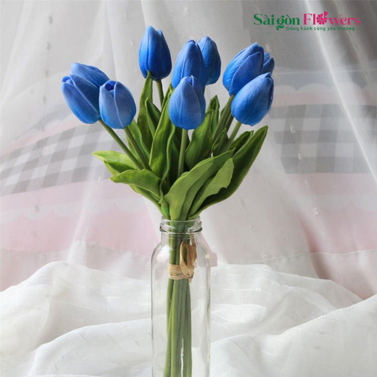 BIỂN CẢ MÊNH MÔNG