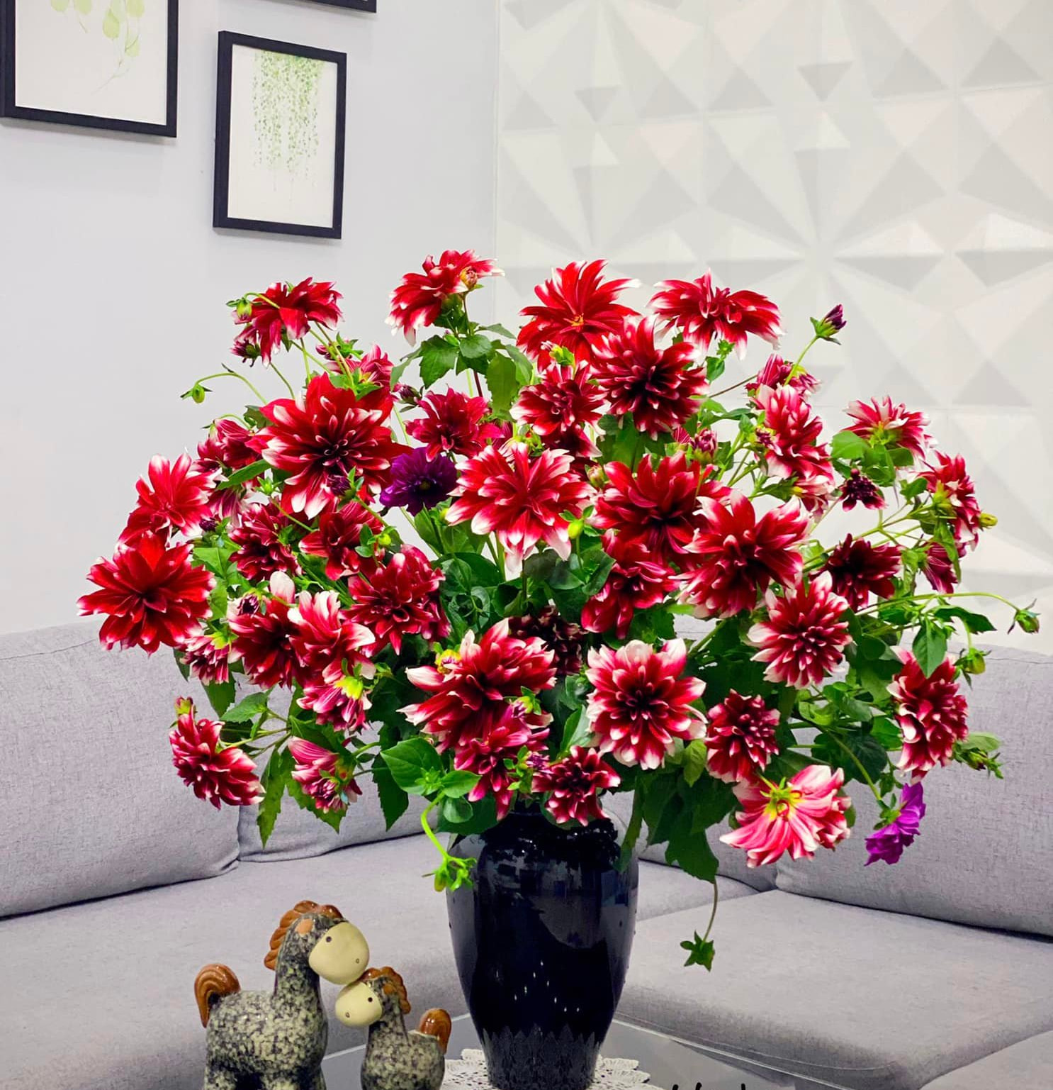 Thược dược cắm bình 