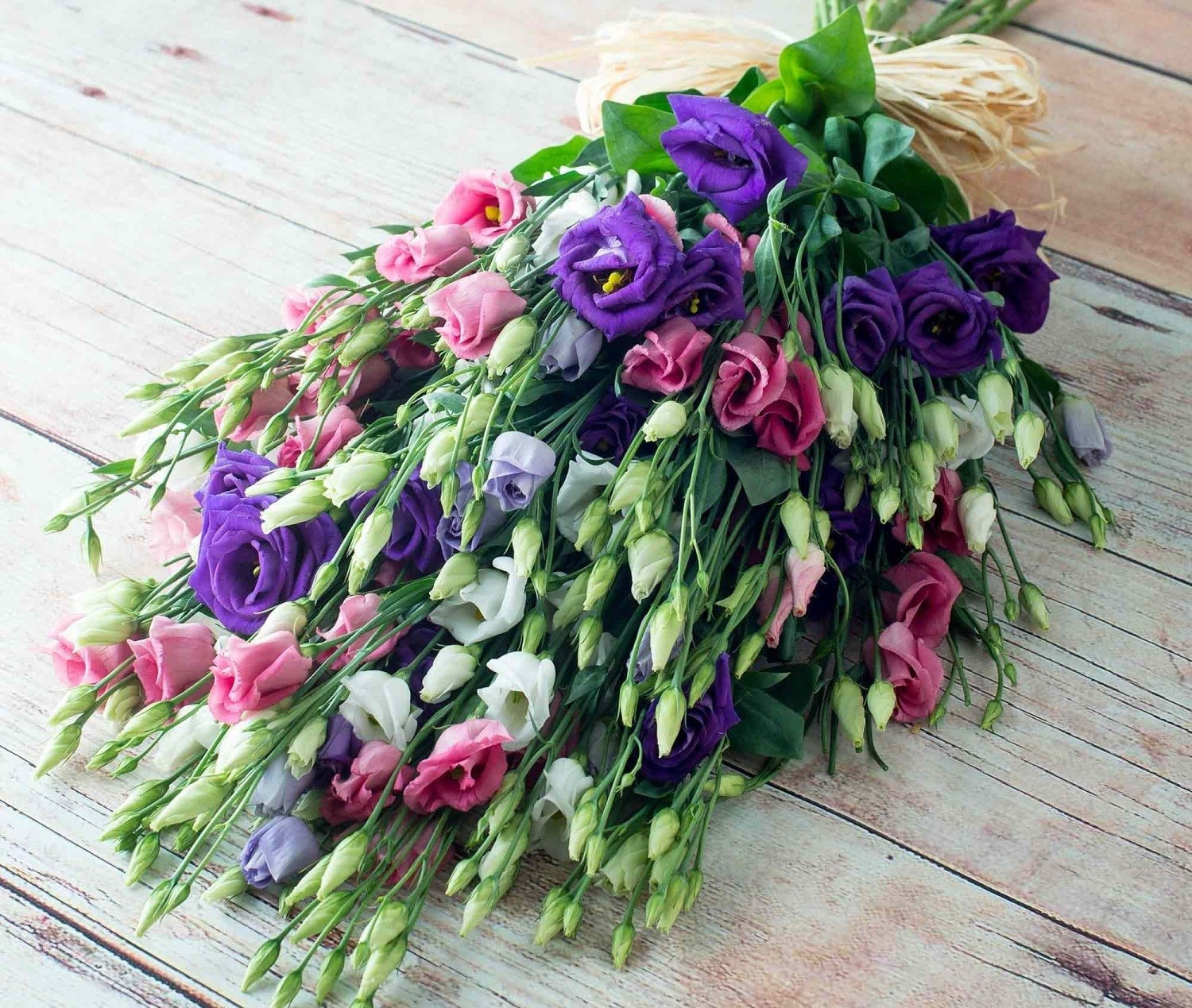 Cát tường